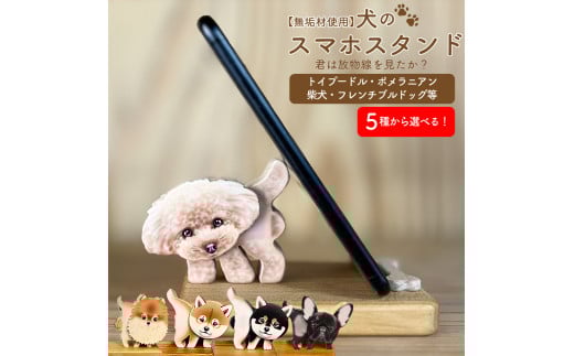̃X}zX^h |jAm쒬20000ߗށEiEH|ȋ iEH|i