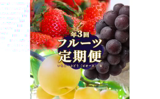 t[c ցiSRj m sI[l  n  Ԃǂ fruit   { ʕ  m 쒬Ym쒬39000ʕEt[c}XJbgEԂǂ