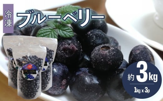 【ブルーベリー(冷凍)3kg】 高知県 佐川町 果物 フルーツ 国産  冷凍ブルーベリー 常備果物 <発送まで最大で4〜6ヶ月程度お待たせする事があります(申込状況により遅れる場合が