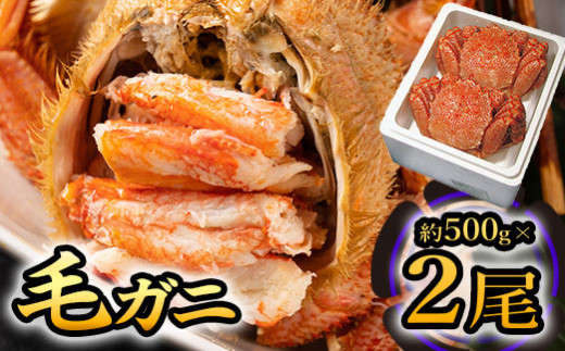 毛ガニ(約500g)×2尾【0104702】北海道猿払村35000魚介・海産物カニ
