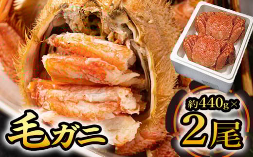 毛ガニ(約440g)×2尾【0104801】北海道猿払村32000魚介・海産物カニ