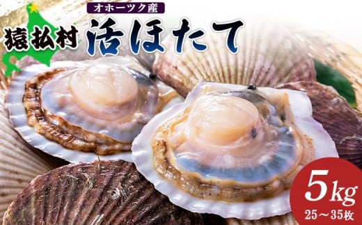 「活ほたて」5kg(25〜35枚) オホーツク産【1601201】北海道猿払村25000魚介・海産物貝類