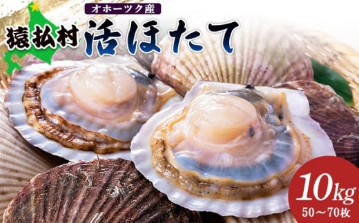 「活ほたて」10kg(50〜70枚) オホーツク産【1601401】北海道猿払村45000魚介・海産物貝類