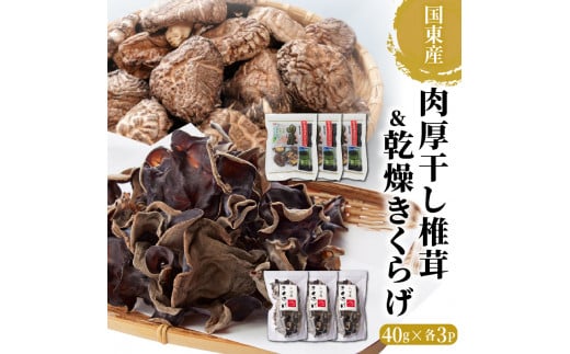 国東産の肉厚干し椎茸(冬磨j&乾燥きくらげ_29060A大分県国東市10000調味料・油だし