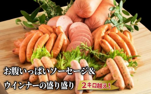 お腹いっぱいソーセージ&ウインナーの盛り盛り2キロ越え! 詰め合わせ 食べ比べ バラエティーパック_29199A大分県国東市15000肉加工肉(ハム・ソーセージ等)