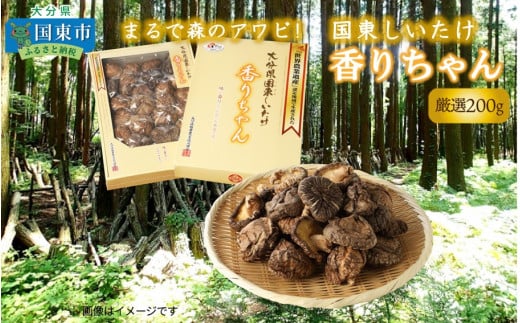 まるで森のアワビ!国東しいたけ香りちゃん(厳選200g)_29253A大分県国東市15000調味料・油だし