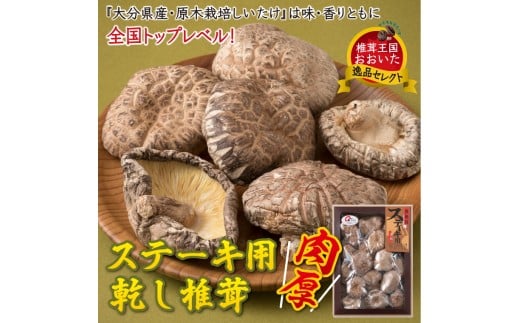 ܂ɐX̃ArIXe[Lpő/240g_1085Z啪s15000؁Ê̂