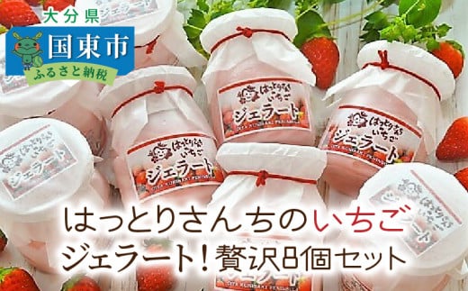 はっとりさんちのいちごジェラート!贅沢8個セット_0241N大分県国東市11000菓子・スイーツアイス・ジェラート