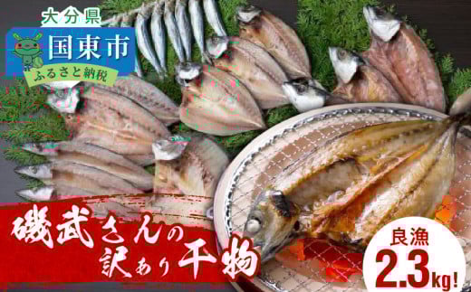 ǋ2.3kg!镐̖󂠂花 A Zbg l Ⓚ Ђ_1020R啪s13000ECY