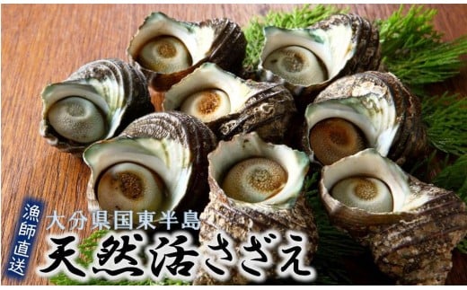 t!VR1.3kg_1067R啪s11000ECYL