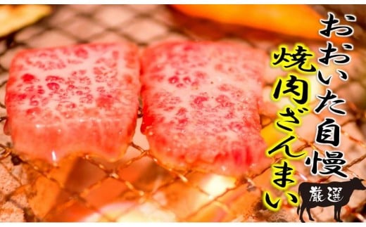 ̏ēZbgv1.1kg/L㋍Jr,ق_1159R啪s20000
