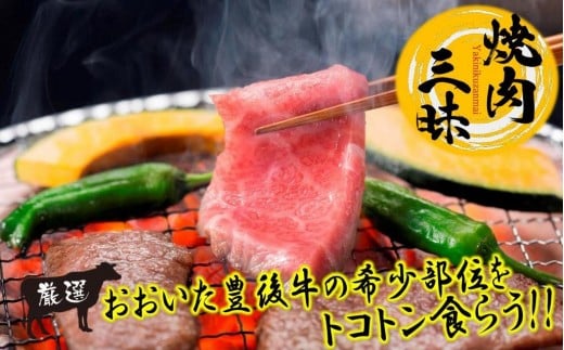 L㋍5팵Iʂ̏ēZbg1.1kg_1161R啪s30000