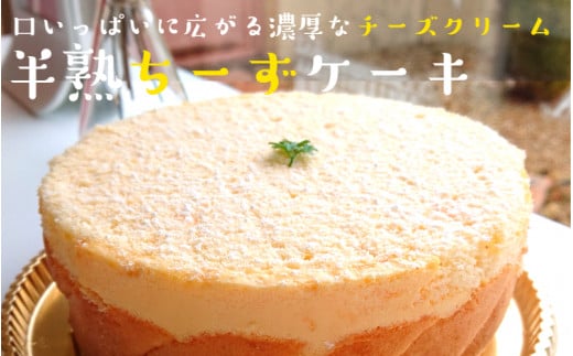 ポールリカールのくにさき半熟ちーずケーキ_1164R大分県国東市10000菓子・スイーツケーキ・カステラ