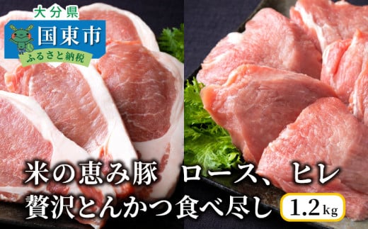 米の恵み豚/ロース,ヒレ贅沢とんかつ食べ尽し1.2kg_1177R大分県国東市10000肉豚肉
