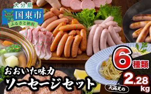 大満足2.28kg!おおいた味力ソーセージセット_1307R大分県国東市17000肉加工肉(ハム・ソーセージ等)