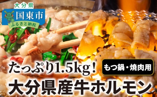 たっぷり1.5kg!大分県産牛ホルモン/ もつ鍋 / 焼肉用_1454R大分県国東市11000鍋セット・総菜・加工食品カレー・シチュー