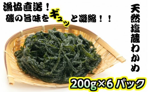 漁協厳選!天然塩蔵わかめ200g×6パック_1467R大分県国東市10000魚介・海産物のり・海藻