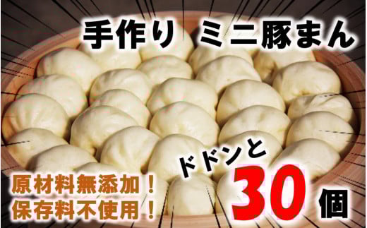 豚まん職人手作りの「ミニ豚まん30個」_1489R大分県国東市15000肉豚肉