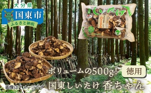 ボリュームの500g!国東しいたけ香ちゃん (徳用)_1735R大分県国東市24000調味料・油だし