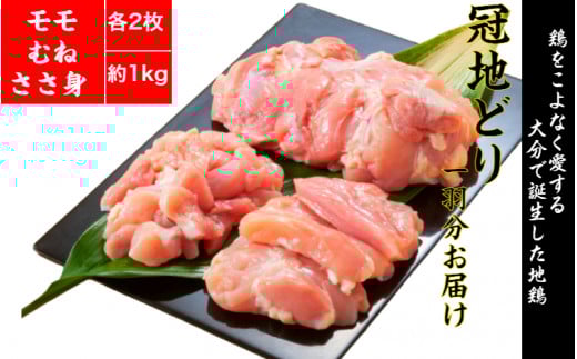 鶏好きの大分が生んだ地鶏!おおいた冠地どり1羽食べ尽くしセット_1796R大分県国東市9000肉鶏肉