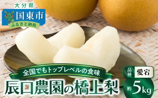 【先行予約】令和7年発送 /辰口農園の橋上梨約5kg(品種:愛宕)_1303R大分県国東市12000果物・フルーツりんご・梨