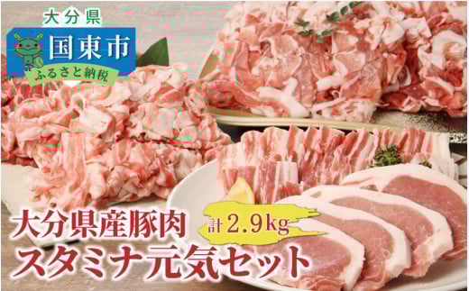 大分県豚肉スタミナ元気セット2.9kg_1829R大分県国東市15000肉豚肉