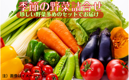 c񂿂̋G߂̒؋l11`12_1878R-11啪s11000؁Ê̑ 