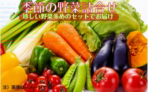 上田さんちの季節の珍野菜詰合せ7月〜8月発送分_1878R-07大分県国東市11000野菜・きのこその他 野菜