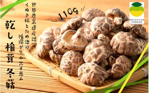 乾し椎茸 冬110g(国東半島宇佐地域世界農業遺産ブランド認証品)_1887R大分県国東市11000野菜・きのこきのこ