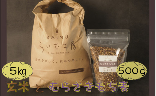 らいむ工房のむらさきもち麦500gと玄米5kg_1903R大分県国東市19000米・パン玄米・雑穀米・もち米・餅