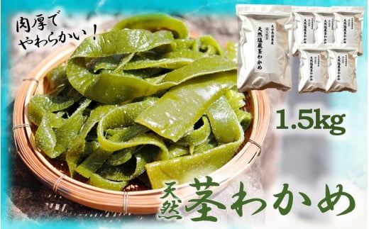 やわらか天然茎わかめ1.5kg(250g×6P)_2229R大分県国東市14000魚介・海産物のり・海藻