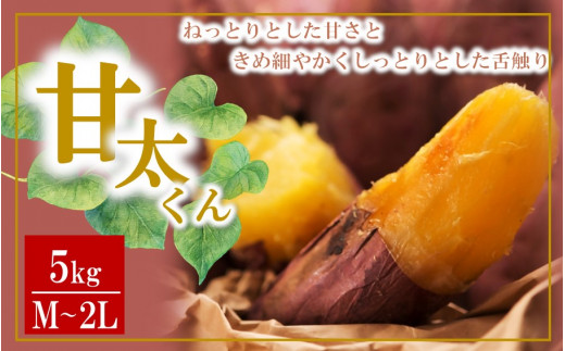 【先行予約】さつまいも 甘太くん 5kg 大分県産 M〜2L _2291R大分県国東市12000野菜・きのこじゃがいも・イモ類