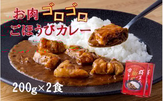 くにさき桜王のゴロゴロ豚カレー(200g×2食)_2323R大分県国東市8500鍋セット・総菜・加工食品総菜