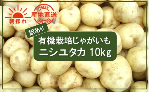 【先行予約】【訳あり】朝収穫してその日に発送!有機栽培じゃがいも10kg(品種:ニシユタカ)_2356R大分県国東市12000野菜・きのこじゃがいも・イモ類