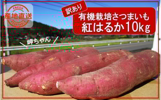 y󂠂zL@͔|܂̖10kgiiFg͂邩j_2358R啪s11000؁ÊႪEC