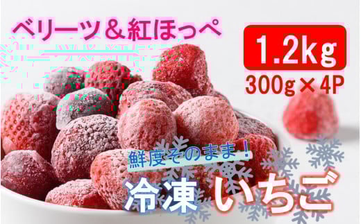 鮮度そのまま! 冷凍完熟いちご / ベリーツ&紅ほっぺ 1.2kg (300g×4P) 冷凍苺 イチゴ フルーツ 新鮮 小分け 便利_2418R大分県国東市10000果物・フルーツいちご