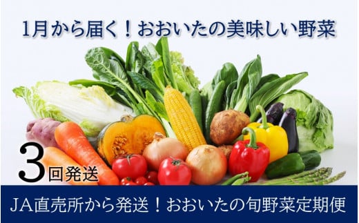 1月からお届け!おおいたの旬野菜定期便/計3回発送_2397R大分県国東市31000野菜・きのこその他 野菜