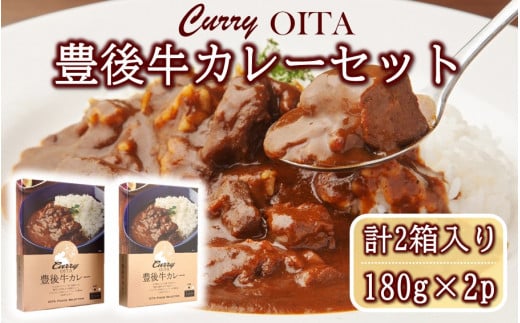 おおいた豊後牛カレー2箱セット_2454R大分県国東市9000肉鶏肉