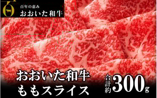 a Ԑg؂ 300gi1pbNj_2480R啪s9000