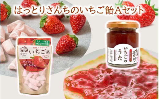 はっとりさんちのいちご飴Aセット_2525R大分県国東市12000鍋セット・総菜・加工食品ジャム・はちみつ
