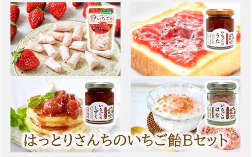 はっとりさんちのいちご飴Bセット_2526R大分県国東市12000鍋セット・総菜・加工食品ジャム・はちみつ