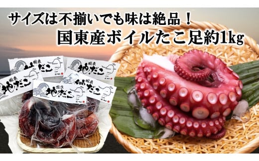 サイズは不揃いでも味は絶品!国東産ボイルたこ足約1kg_2561R大分県国東市15000魚介・海産物イカ・タコ・ウニ
