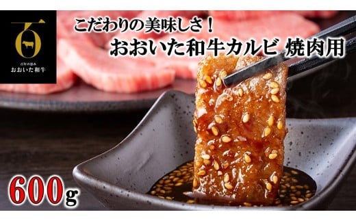 ̔IaJr ēp 600g_2579R啪s16000