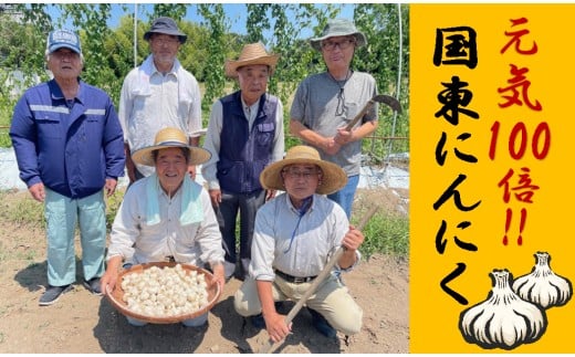 【訳あり】毎日食べて元気モリモリ!国東産乾燥にんにく/バラ0.8kg/こだわり減農薬栽培_2611R大分県国東市8000野菜・きのこその他 野菜