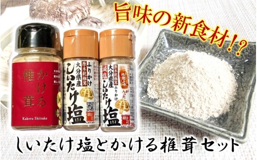 ƂőZbg_2630R啪s8000EEӞE