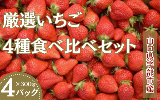 (先行予約)いちご4品種 食べ比べ セット 300g×4パック  【山口県 宇部市 旬 いちご 4品種  食べ比べ  ナチュラルファーム 苺 農園 果物 くだもの 甘い フルーツ スイーツ プレゼント ギ