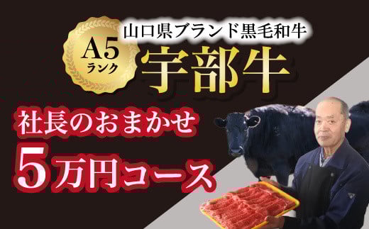 【山口宇部牛】社長おまかせ<5万円コース>黒毛和牛A5ランク宇部牛【山口県 宇部市 牛 牛肉 黒毛 和牛 A5ランク ブランド 山口県唯一 地元発ブランド牛 希少 まちのお肉屋さん ストレ