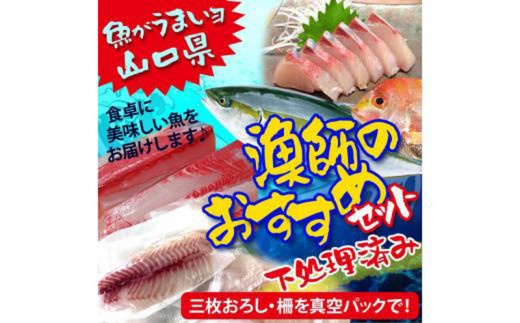 (4ヶ月定期便)山口県 漁師 厳選 鮮魚 詰め合わせ サクセット(下処理済)【山口県 宇部市 魚 漁師 新鮮 おいしい 魚 選りすぐり 下処理 サク 三枚おろし 真空バック 煮魚  魚介類 海の幸