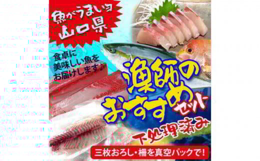 R t I N lߍ킹 TNZbgiρjyR Fs  t VN   I肷  TN O낵 ^obN ϋ   C̍K  hg  g