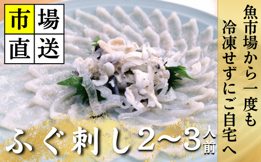 【北海道・東北・沖縄・離島配送不可/着日指定必須】市場直送!ふぐ丸ごと一匹分 生 ふぐ刺し 2〜3人前【市場直送 ふぐ フグ 河豚 丸ごと一匹分 生 ふぐ刺し 山口県 宇部市 冷蔵 生 未冷